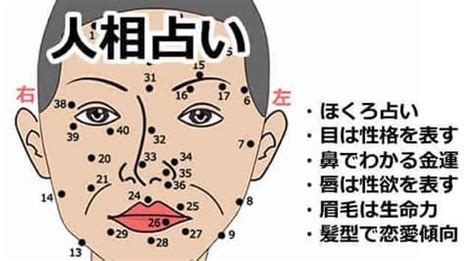 面相診断|人相（顔相）｜占い神貴